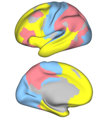 Neuroscience Bulletin 2025